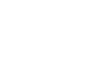 Bridelle